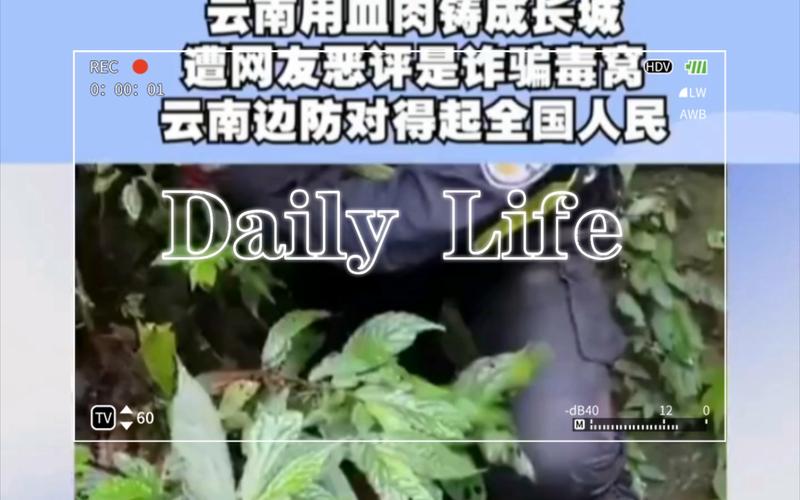 最美基层民警贺胜：无畏坚守，护航祖国南疆安宁