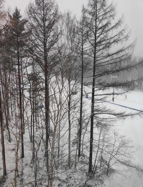 中产阶级避开人群，户外和滑雪圈成新选择