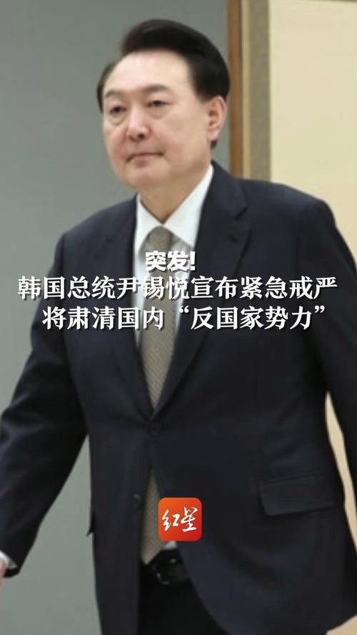 尹锡悦遭逮捕：韩国政局动荡或将国际关注