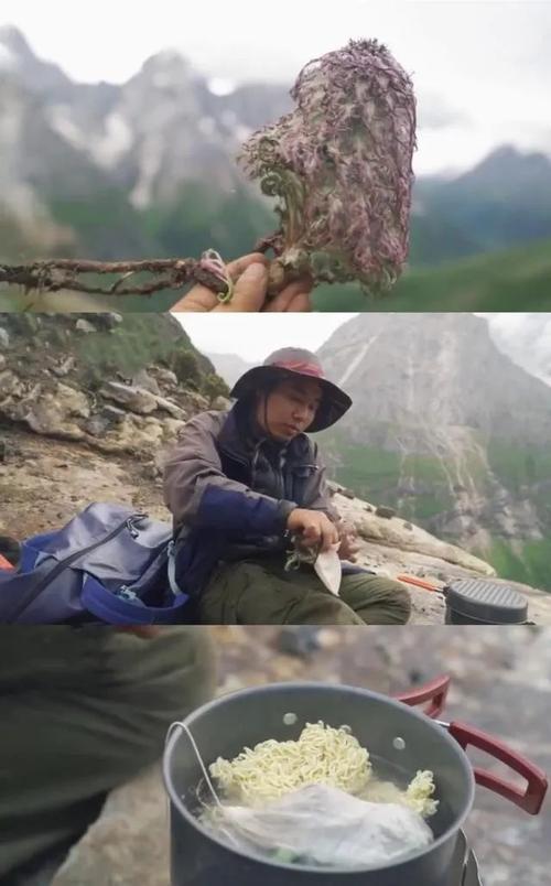 胆大党：年轻人挑战极限，网络文化与道德边界激烈碰撞