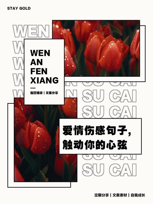对不起，未能触动你内心深处——爱情与距离之间的遗憾与反思