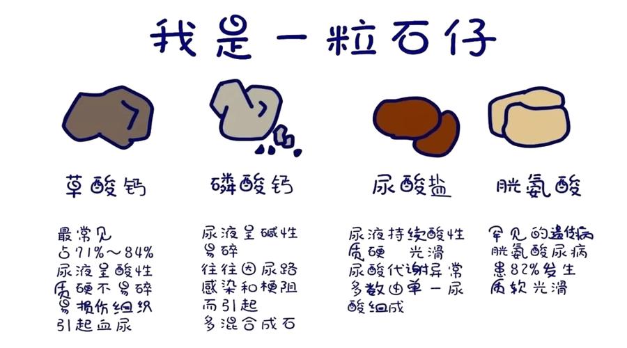 肾脏健康警惕！这食物你吃得太多，可能正在伤害它