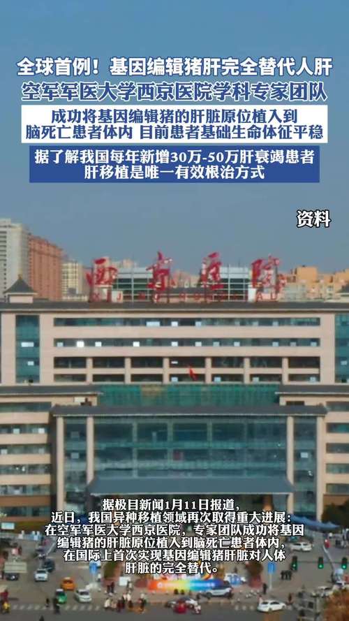 基因编辑技术突破！我国成功实现猪肝替代人肝，医学迎来新纪元