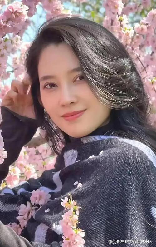 颜安过年嘴替引热议，网友热议背后故事与影响