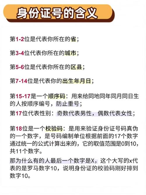 数字背后的意义：、、…揭示背后的社会变革与趋势