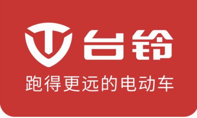女子因电动自行车罚款起诉市政府，法律对城市交通管理迎来新挑战