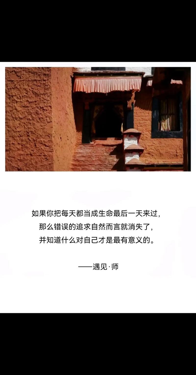 每一条生命都值得尊重：西藏日对生命尊严的深刻思考