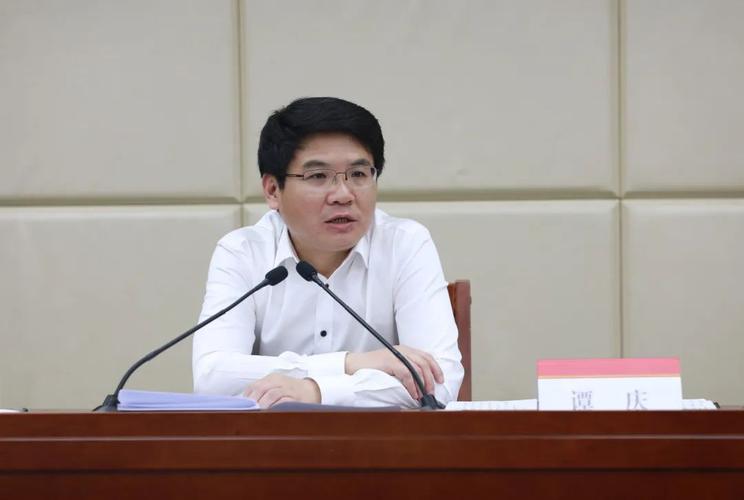 重庆铜梁区委书记谭庆涉嫌严重违纪违法，调查