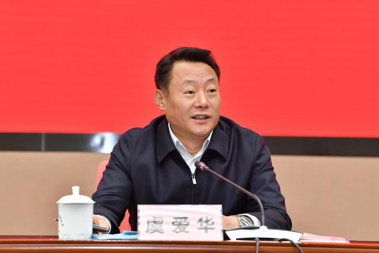 虞爱华辞去安徽省人大代表职务，背后原因