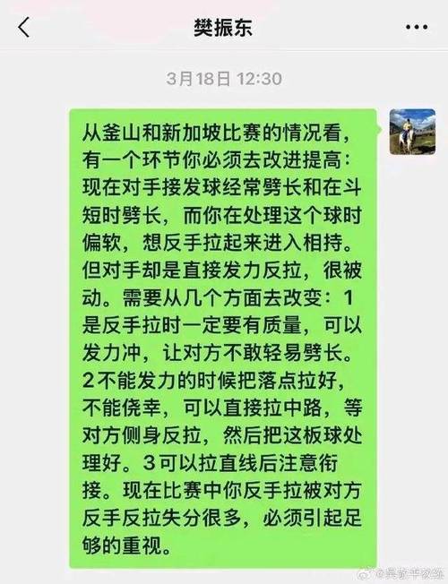 樊振东自评打法漏洞曝光：直言当前技术短板或成新挑战